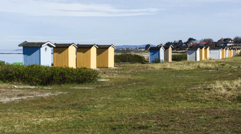 Stacks Image 9262